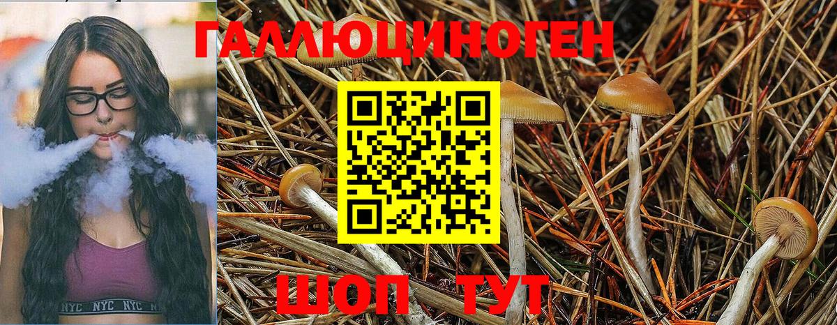 Псилоцибиновые грибы MAGIC MUSHROOMS Челябинск